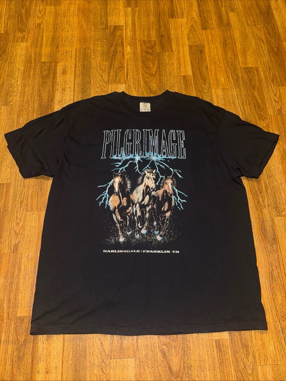 Pilgrimage Music Festival Shirt 2024 Black Franklin TN Adult 2XL